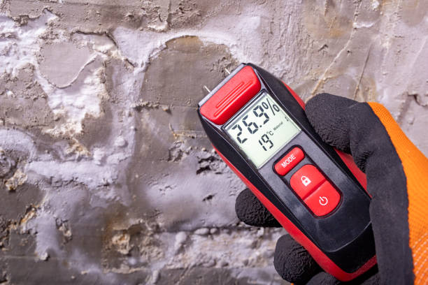 Best Mold Testing  in Latta, SC