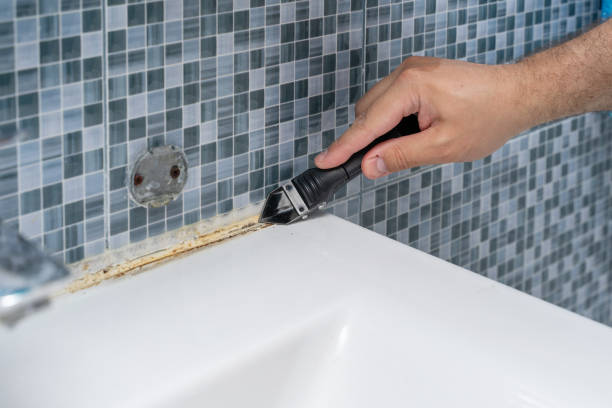 Best Professional Mold Removal  in Latta, SC