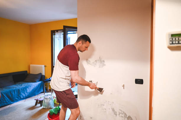 Best Office Mold Removal Services  in Latta, SC
